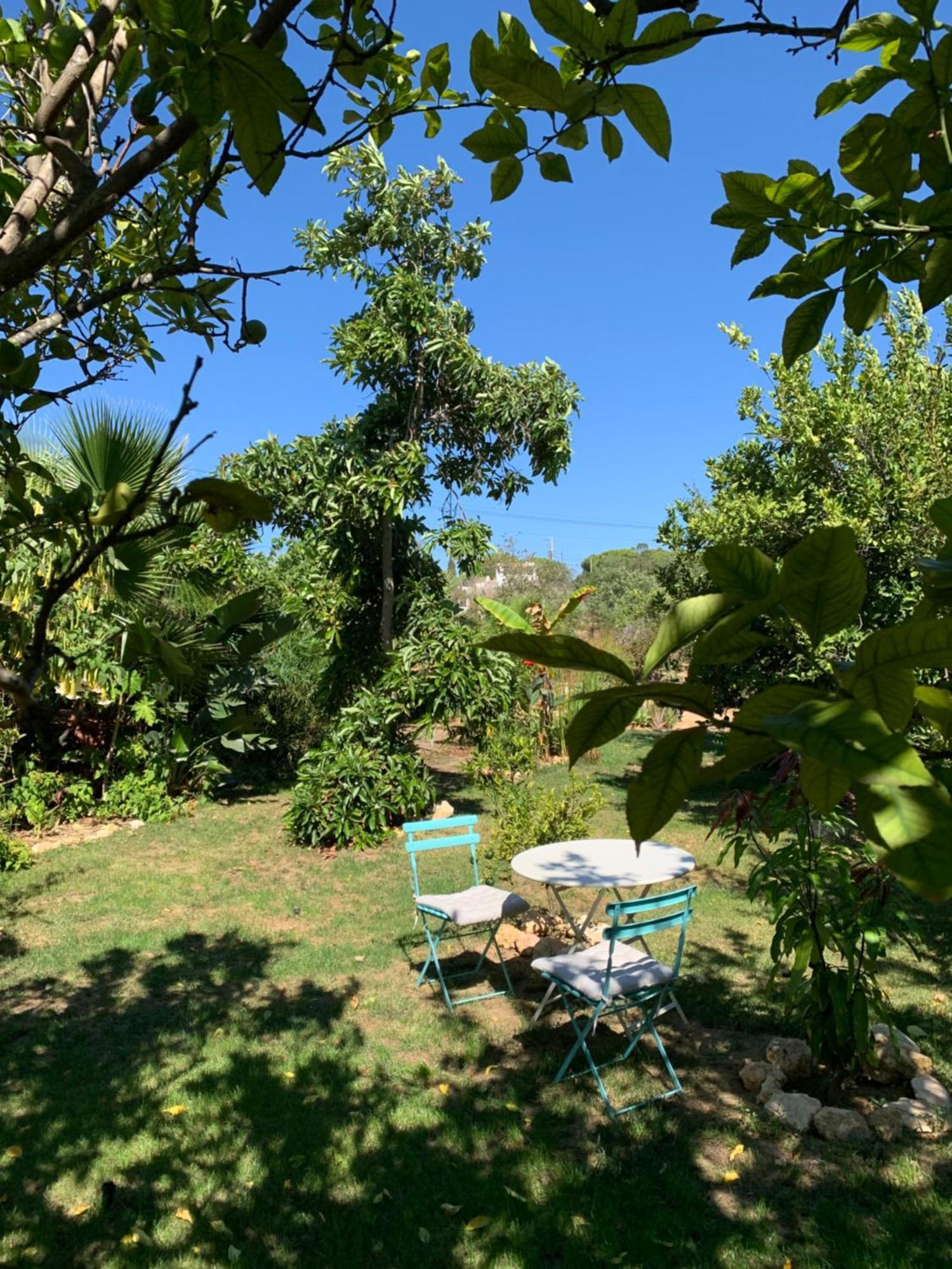 A Tranquil Garden Apartment, Carvoeiro - Benagil Eksteriør bilde