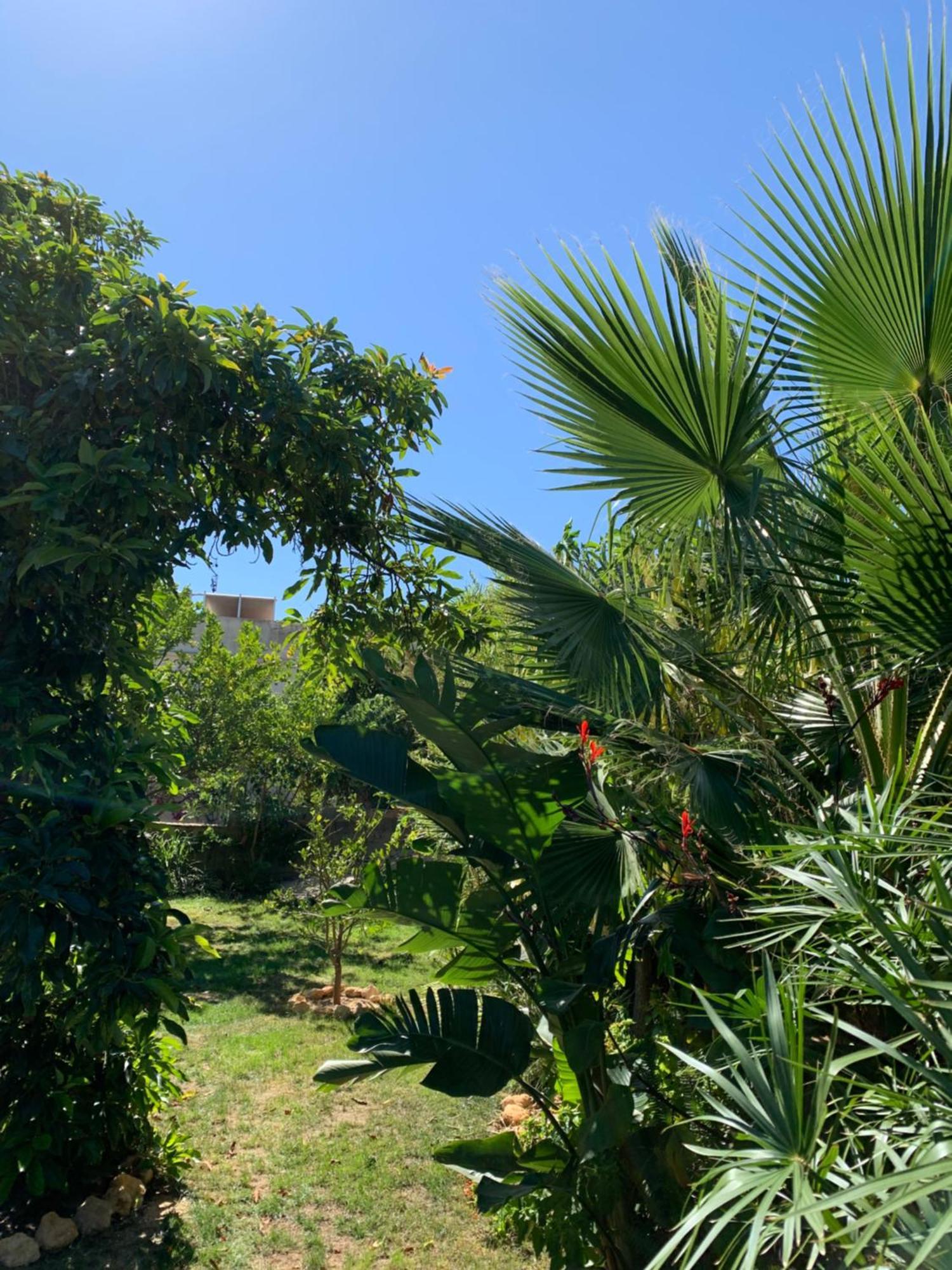 A Tranquil Garden Apartment, Carvoeiro - Benagil Eksteriør bilde